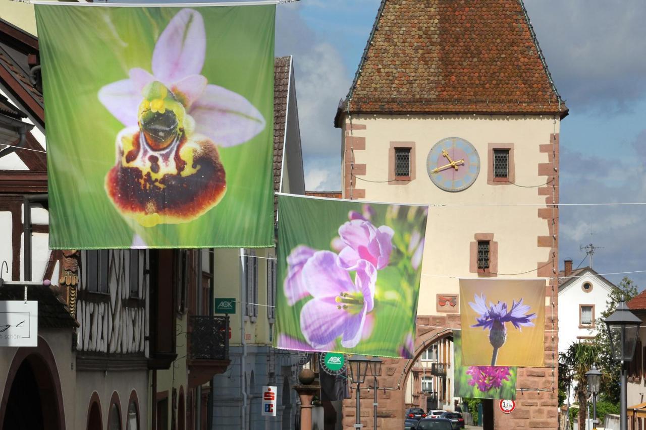 Tiptop Hotel Garni Pfauen Endingen am Kaiserstuhl Bagian luar foto