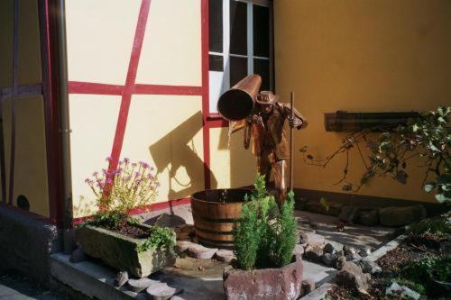 Tiptop Hotel Garni Pfauen Endingen am Kaiserstuhl Bagian luar foto