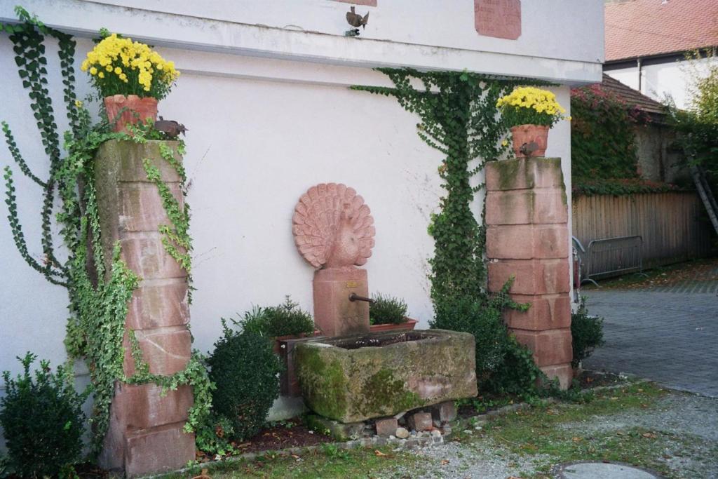 Tiptop Hotel Garni Pfauen Endingen am Kaiserstuhl Bagian luar foto