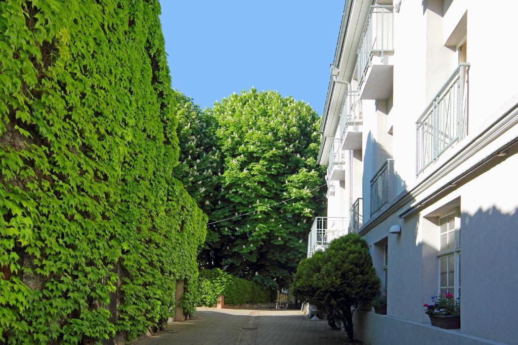 Tiptop Hotel Garni Pfauen Endingen am Kaiserstuhl Bagian luar foto