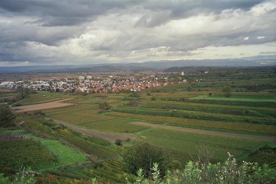 Tiptop Hotel Garni Pfauen Endingen am Kaiserstuhl Bagian luar foto